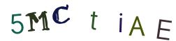 Image CAPTCHA