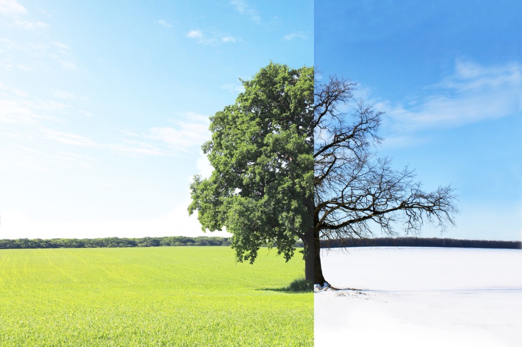 Solid-vs-Outline-Icons