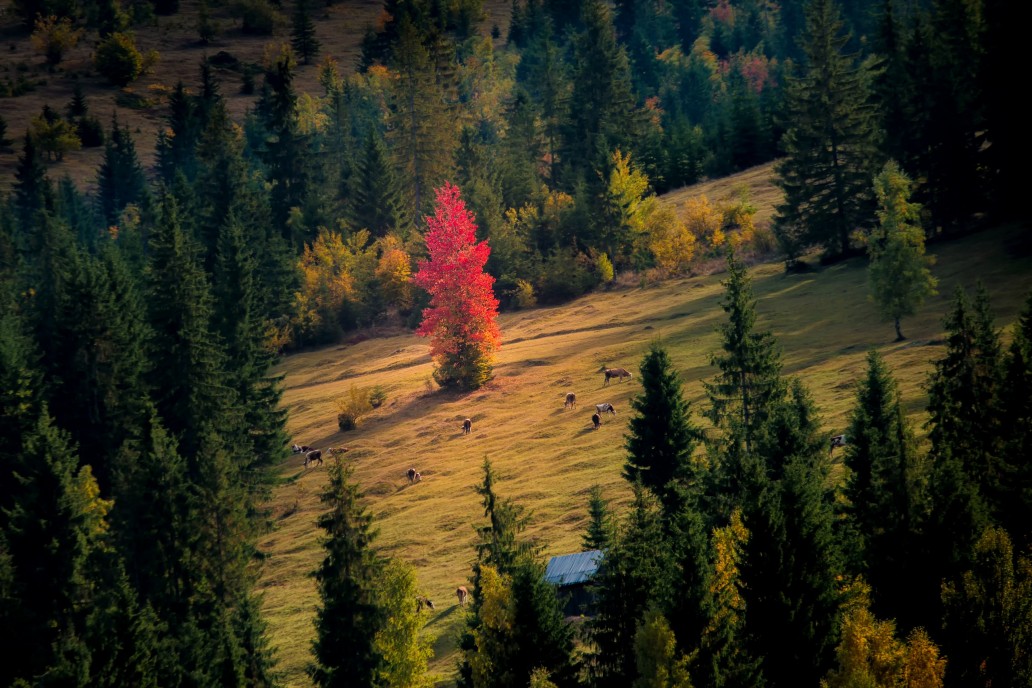 Designing for Personalized Experiences as one size