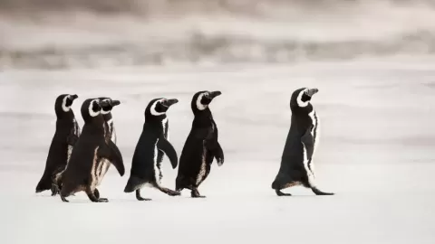 Commerce-Health-Header